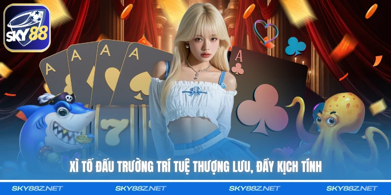 Xì Tố đấu trường trí tuệ thượng lưu, đầy kịch tính